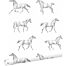 behang getekende paarden zwart op wit van ESTAhome