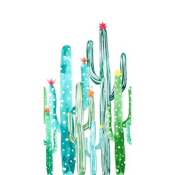 fotobehang aquarel geschilderde bloeiende cactussen tropisch junglegroen en turquoise van ESTAhome