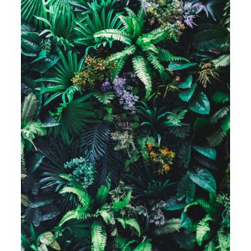 fotobehang tropische planten groen van ESTAhome