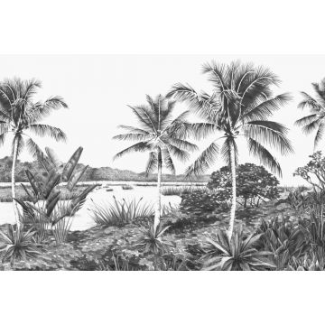 fotobehang tropisch landschap met palmbomen zwart wit van ESTAhome