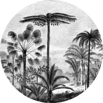 zelfklevende behangcirkel tropisch landschap met palmbomen zwart wit van ESTA home