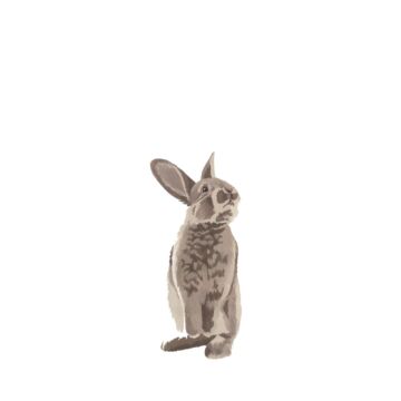 fotobehang konijn bruin van ESTAhome