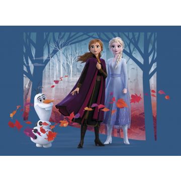 poster Frozen Anna & Elsa blauw, paars en oranje van Disney