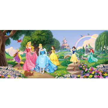 poster prinsessen groen, blauw en roze van Disney