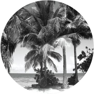 zelfklevende behangcirkel tropisch landschap met palmbomen zwart en grijs van Sanders & Sanders