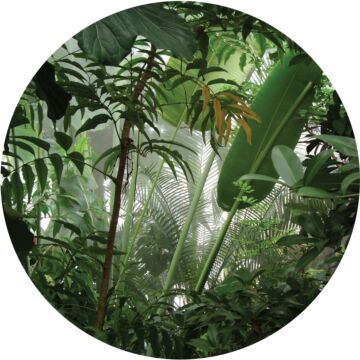 zelfklevende behangcirkel tropische jungle bladeren groen van Sanders & Sanders
