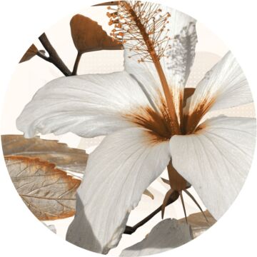 zelfklevende behangcirkel lelie bloem wit en bruin van Sanders & Sanders