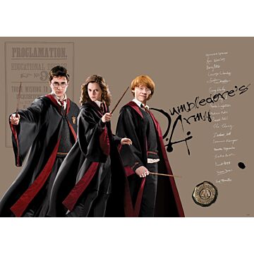 poster Harry Potter, Hermelien Griffel, Ron Wemel beige, zwart en rood van Sanders & Sanders
