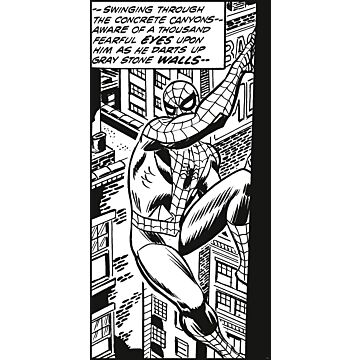 fotobehang Spider-Man zwart wit van Komar