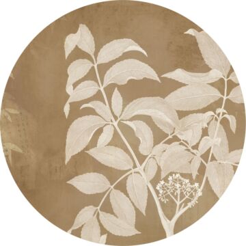 zelfklevende behangcirkel Blooming Branch beige van Komar