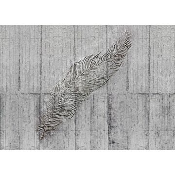fotobehang Concrete Feather grijs van Komar