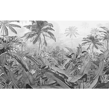 fotobehang tropisch jungle zwart wit van Sanders & Sanders