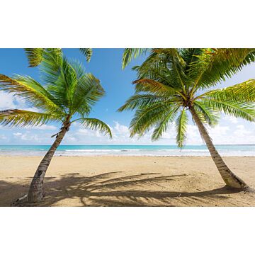 fotobehang Caribisch strand groen en blauw van Sanders & Sanders