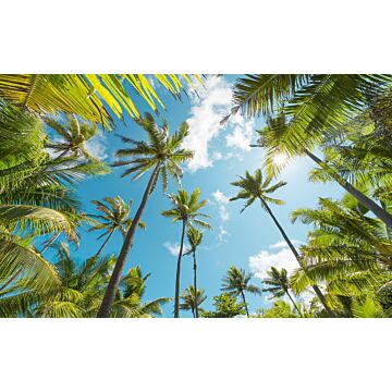 fotobehang palmbomen groen en blauw van Sanders & Sanders